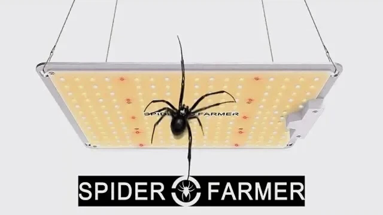 SPIDER FARMER GROW LIGHT BLACK FRIDAY / CYBER MONDAY SUPER SPECIAL!