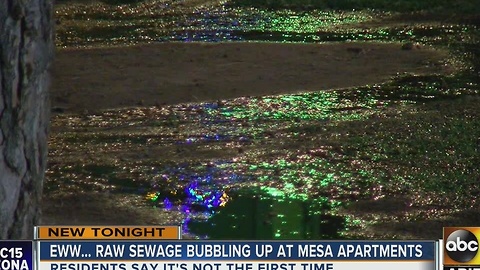 Raw sewage spilling onto sidewalk of Mesa apartment
