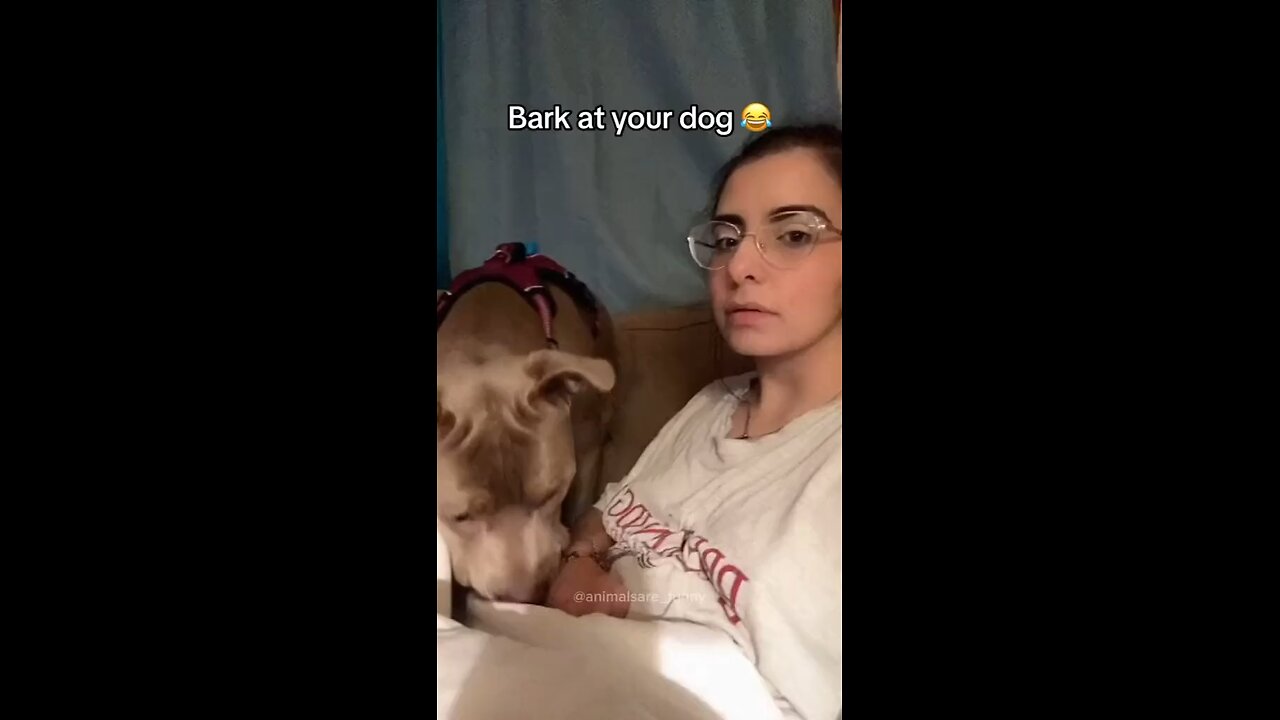 Bark at your dog prank