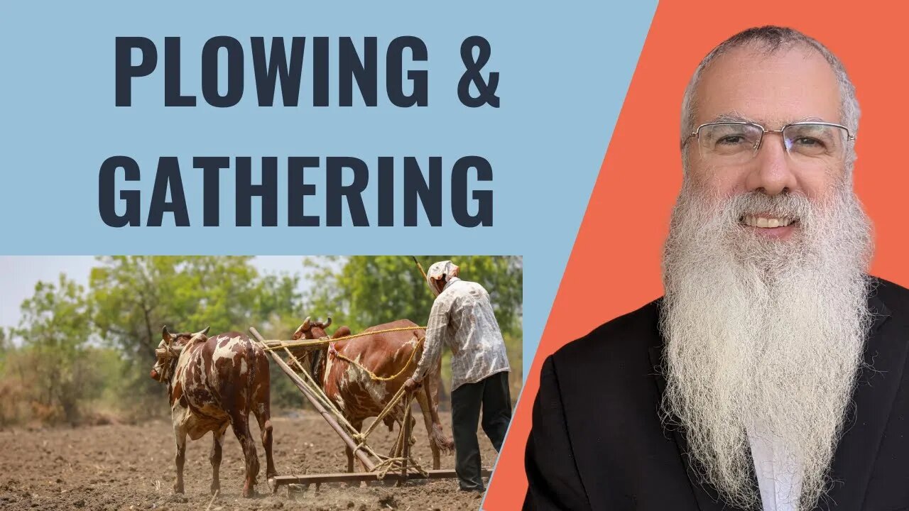 Mishna Shabbat Chapter 12 Mishnah 2 Plowing & Gathering