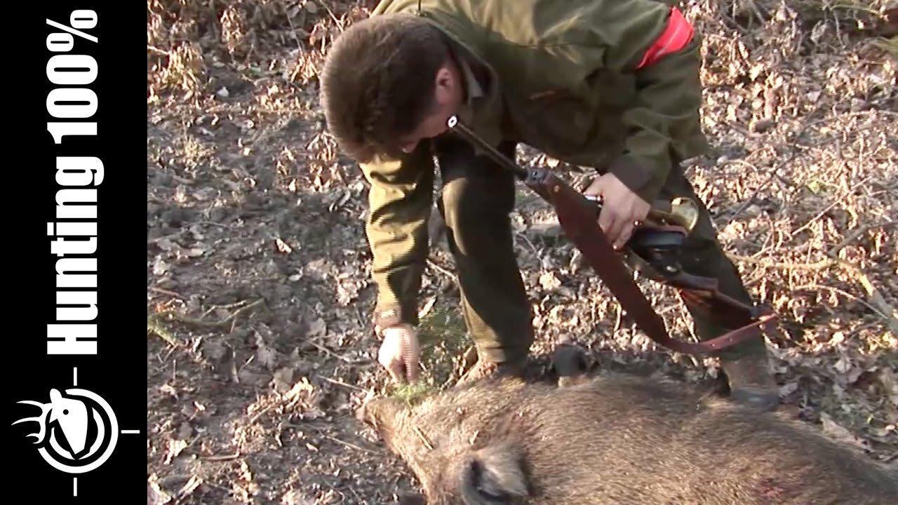 Deer and Wild Boar Hunting in France