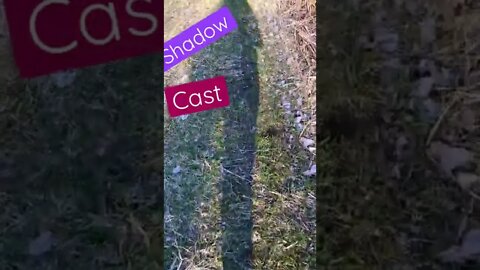 Light Casts Shadow