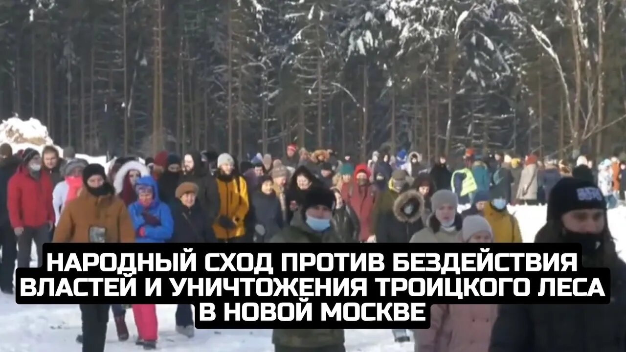 Народный сход против бездействия властей и уничтожения Троицкого леса в Новой Москве / LIVE 12.02.22