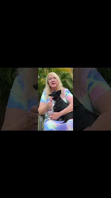 Domestic violence law changes #police #honolulupd