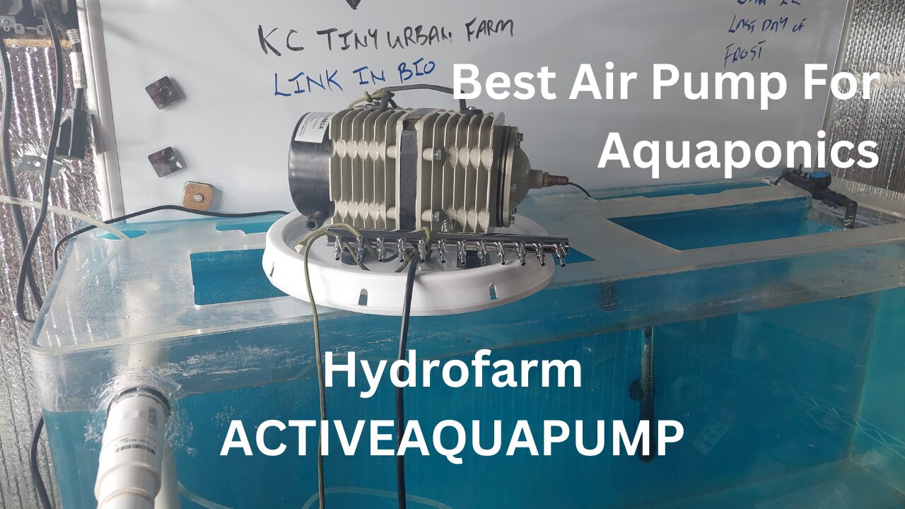 Aquaponics Air Pump