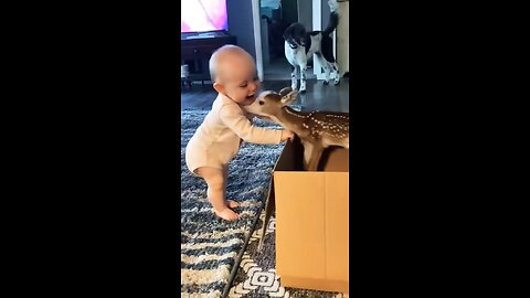little baby with baby dear