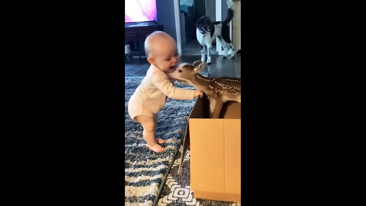 little baby with baby dear