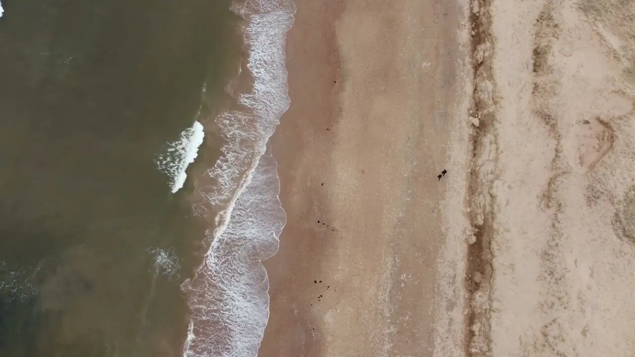 People Walking on the Beach