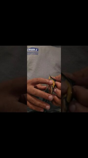 tame Impala pokemon rip and ships everything is for sale