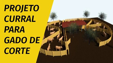 Projeto de curral para gado de corte Parte 1