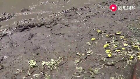 19: Look at the model car off-road, the vision is amazing, take a look.
