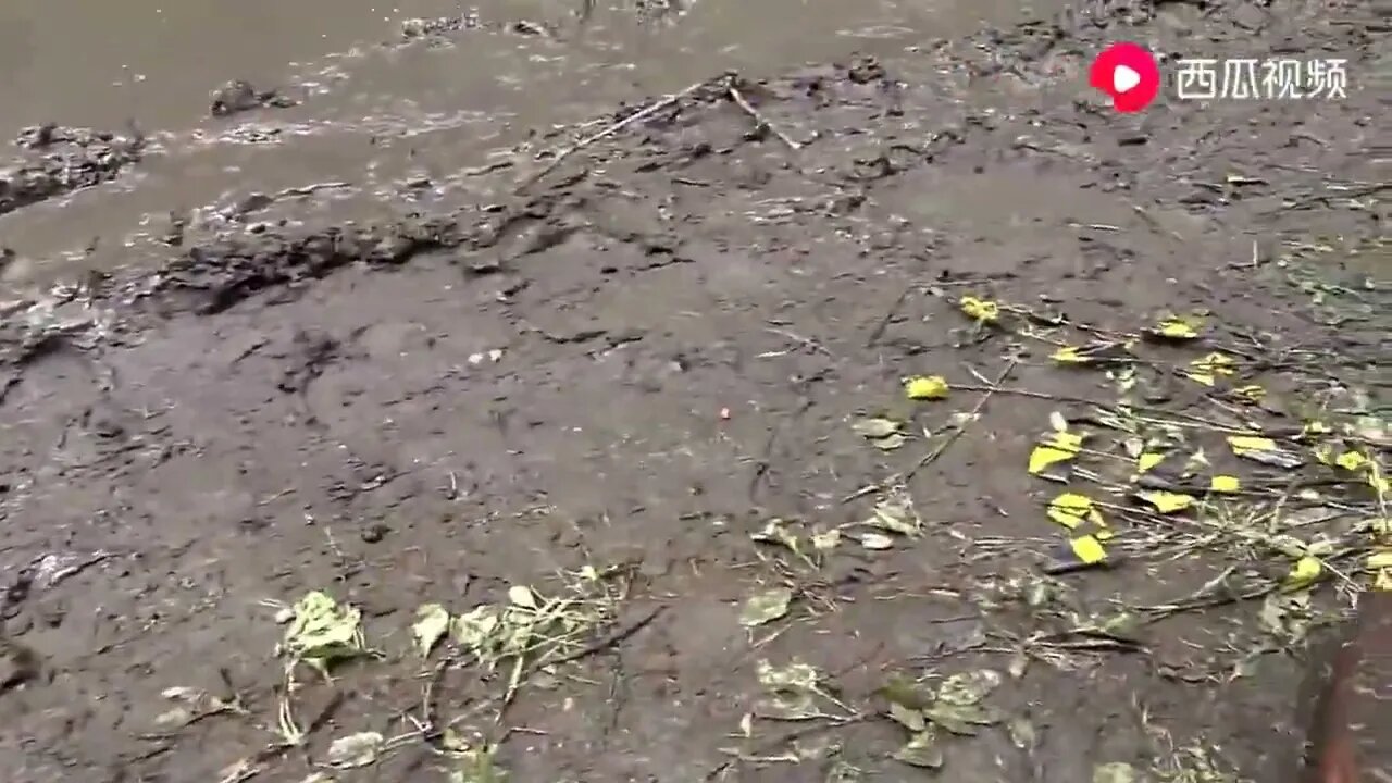 19: Look at the model car off-road, the vision is amazing, take a look.