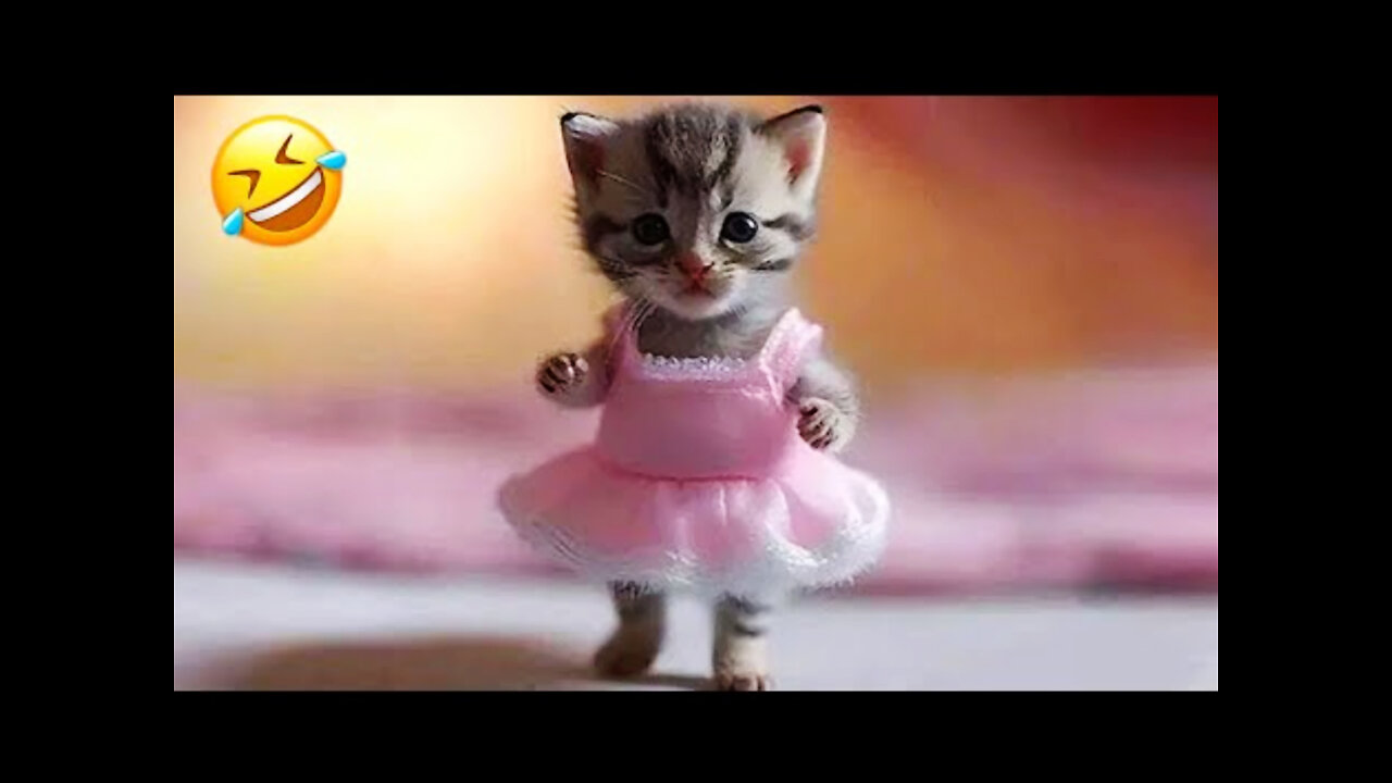 New Funny Animals 2023 ππ Funniest Cats and Dogs Videos πΆπ»