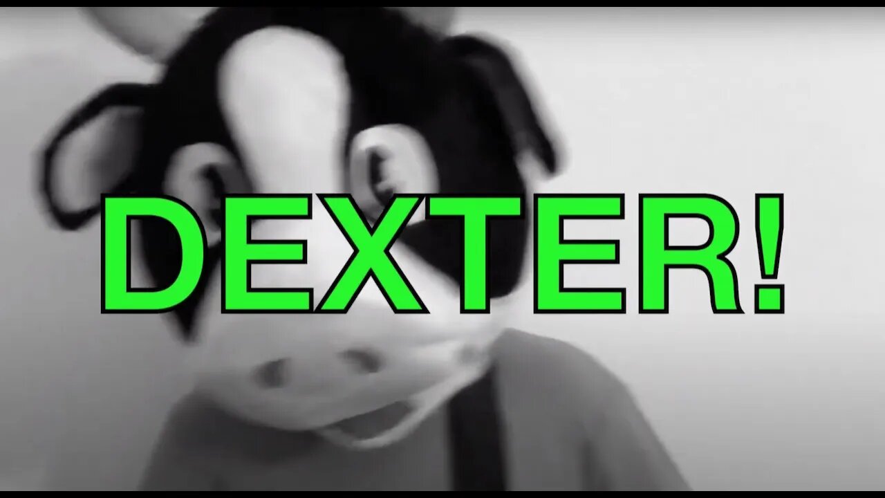 Happy Birthday DEXTER! - COW Happy Birthday Song