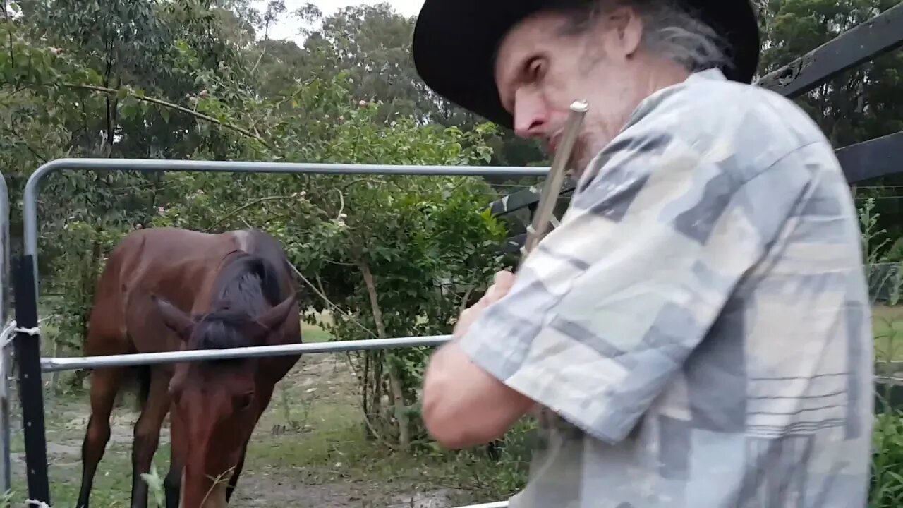 20190120_195536.mp4