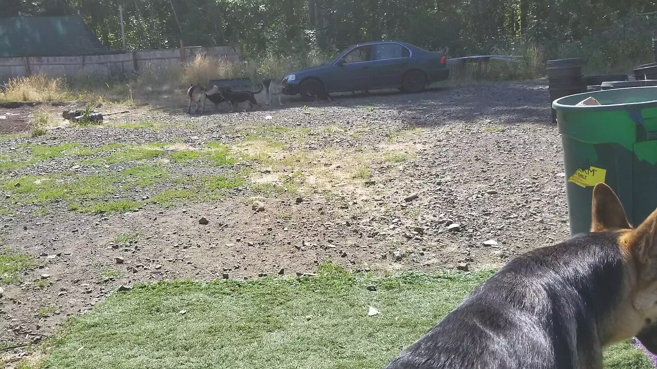 That One Moment When You Realize Your Not As Messed Up As The Rest Of The World