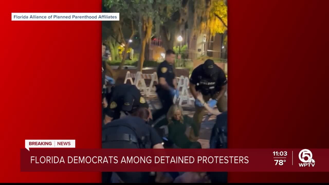 Florida Democrats among protesters handcuffed during Tallahassee protest