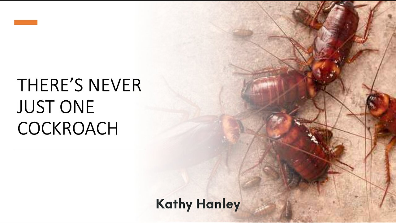 There's Never Just One Cockroach - Kathy Hanley - November 5th, 2023