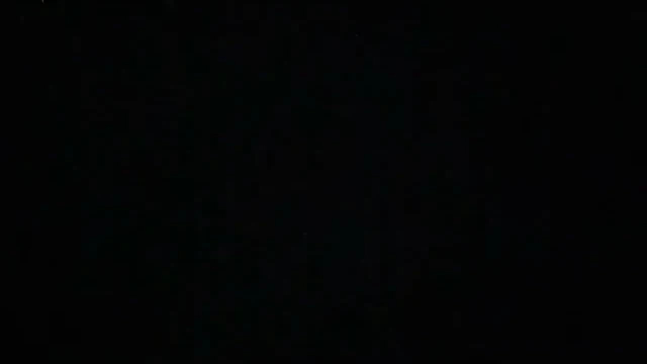 😥 Beware of Dog Abuser True Freeman