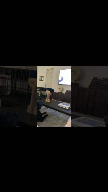 Immediately terrifying!!!