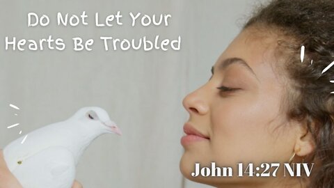 Do Not Let Your Hearts Be Troubled - John 14:27 NIV