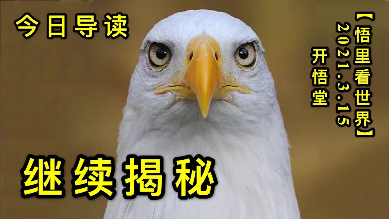 KWT1310继续揭秘-今日导读20210315-1【悟里看世界】