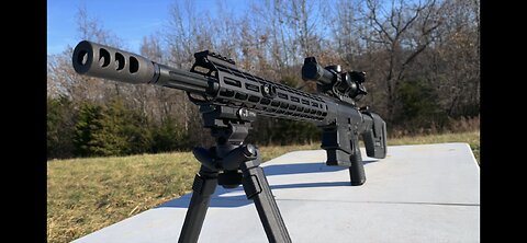 LR-308 DMR build