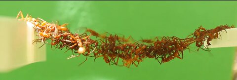 Overwatch Ranked Ball Gameplay Pt 2