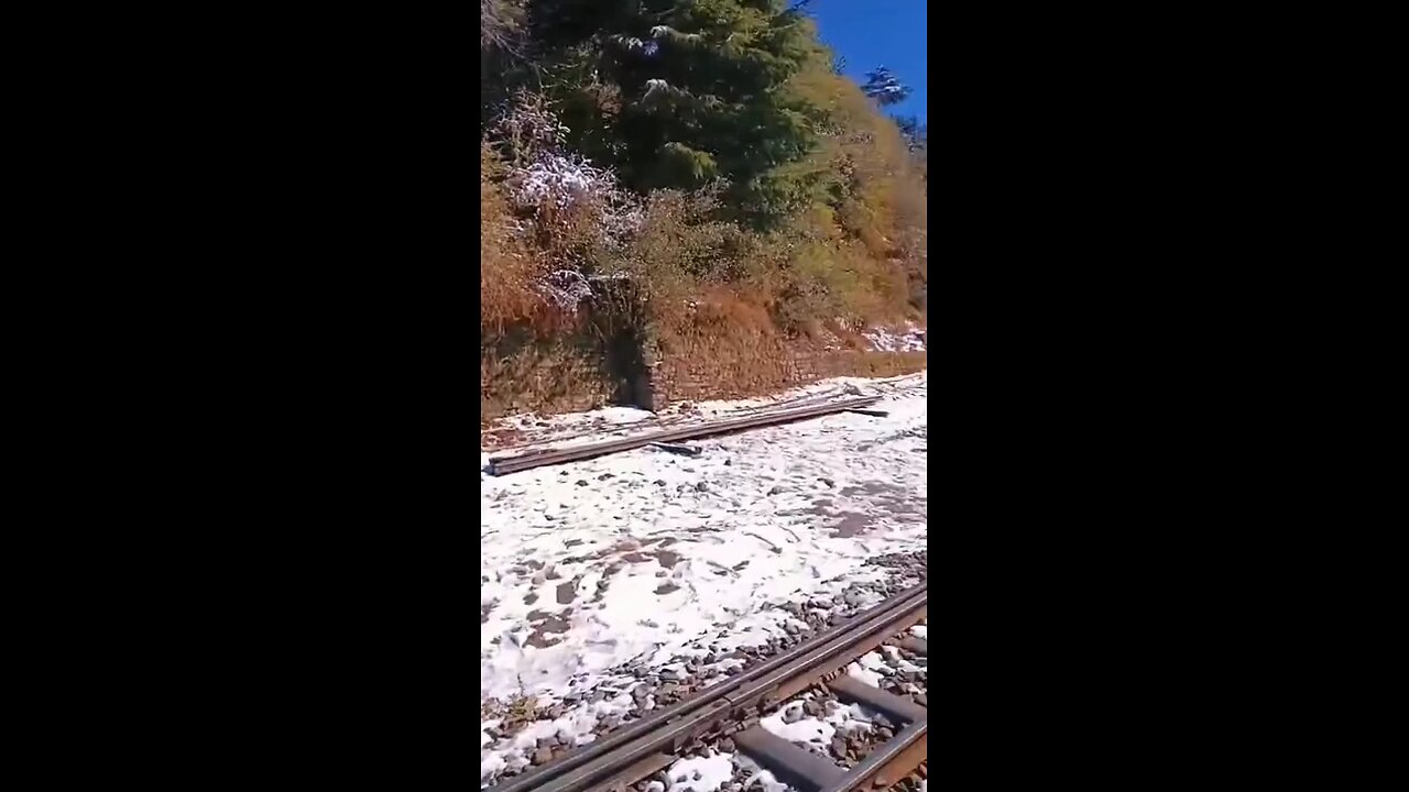 beautiful View 😍 Shimla toy train ❤️