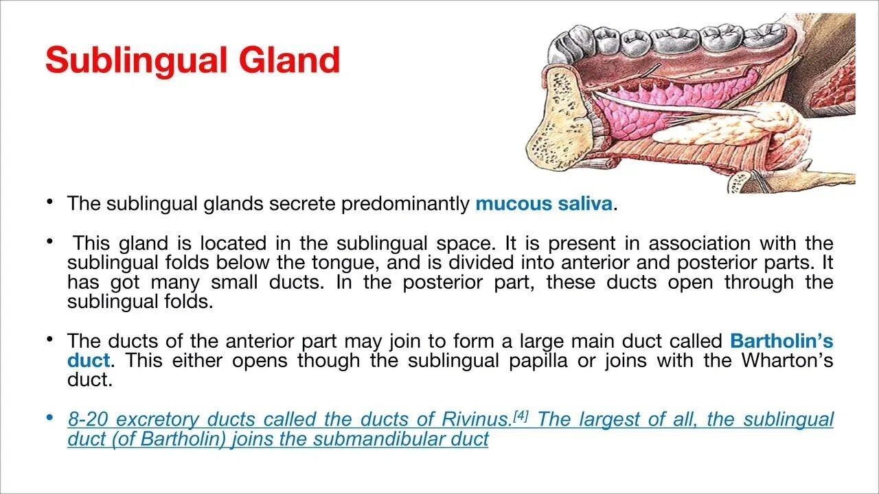 Oral Surgery L11 (Salivary Glands Diseases)