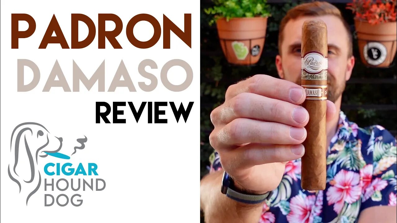 Padrón Dámaso Cigar Review