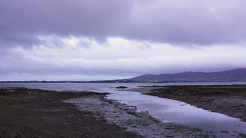 From Dark till Dawn: Wake up in Northern Ireland | Relax With Nature | BBC Earth