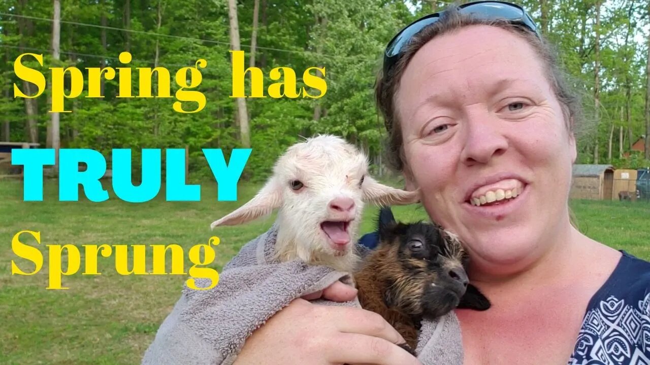 Kidding Season - Part 2