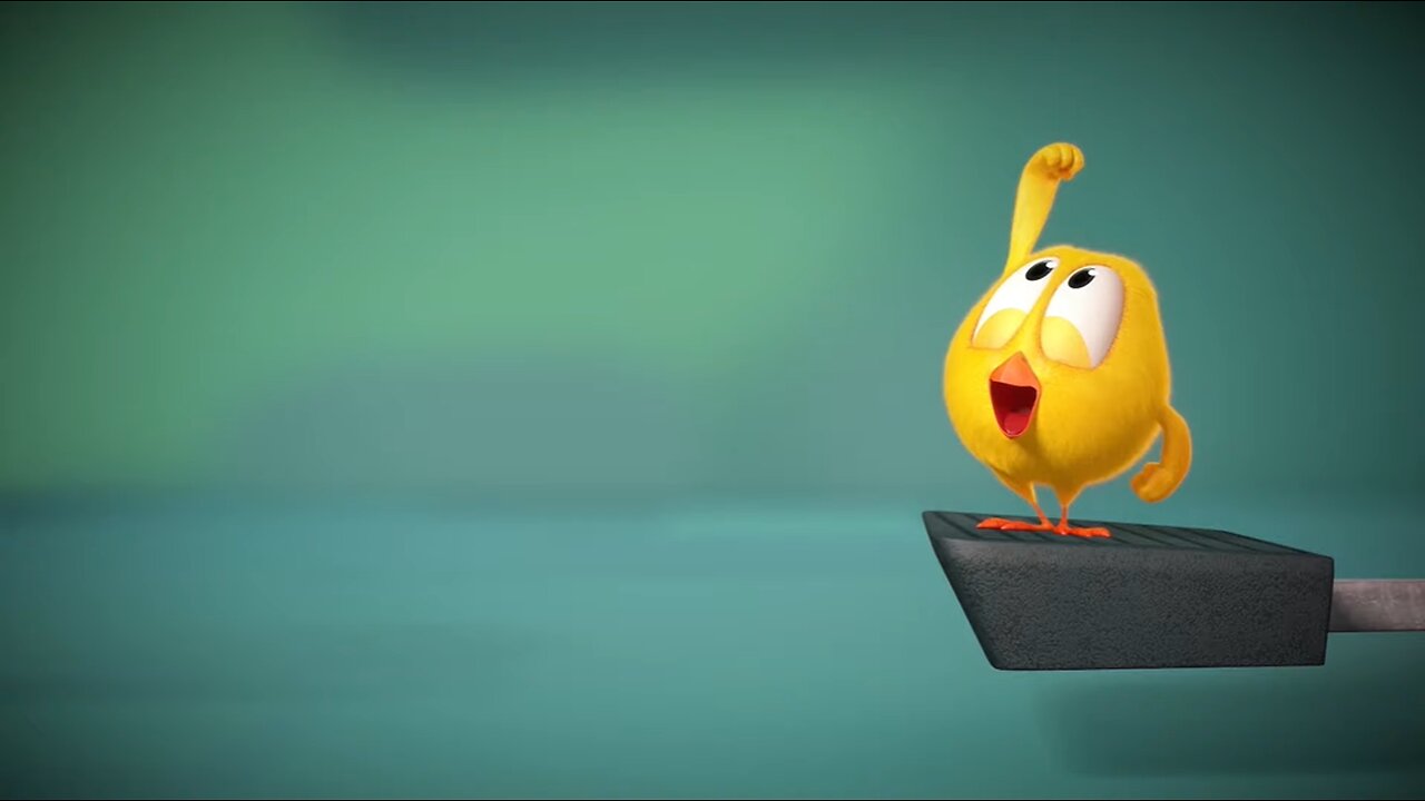 Where's Chicky? Funny Chicky 2019 | WRONG BUTTON | Chicky Cartoon in English for Kids