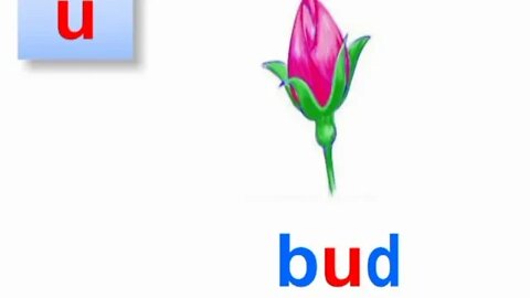 Nursery Honey Bee Book Reading Page No 14