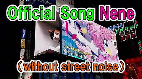 Shinjuku 3D digital Cat billboard