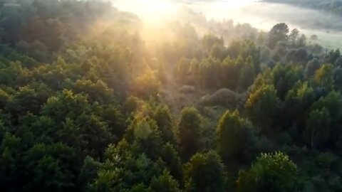 Beauty Relax Piano Musics - 3hours