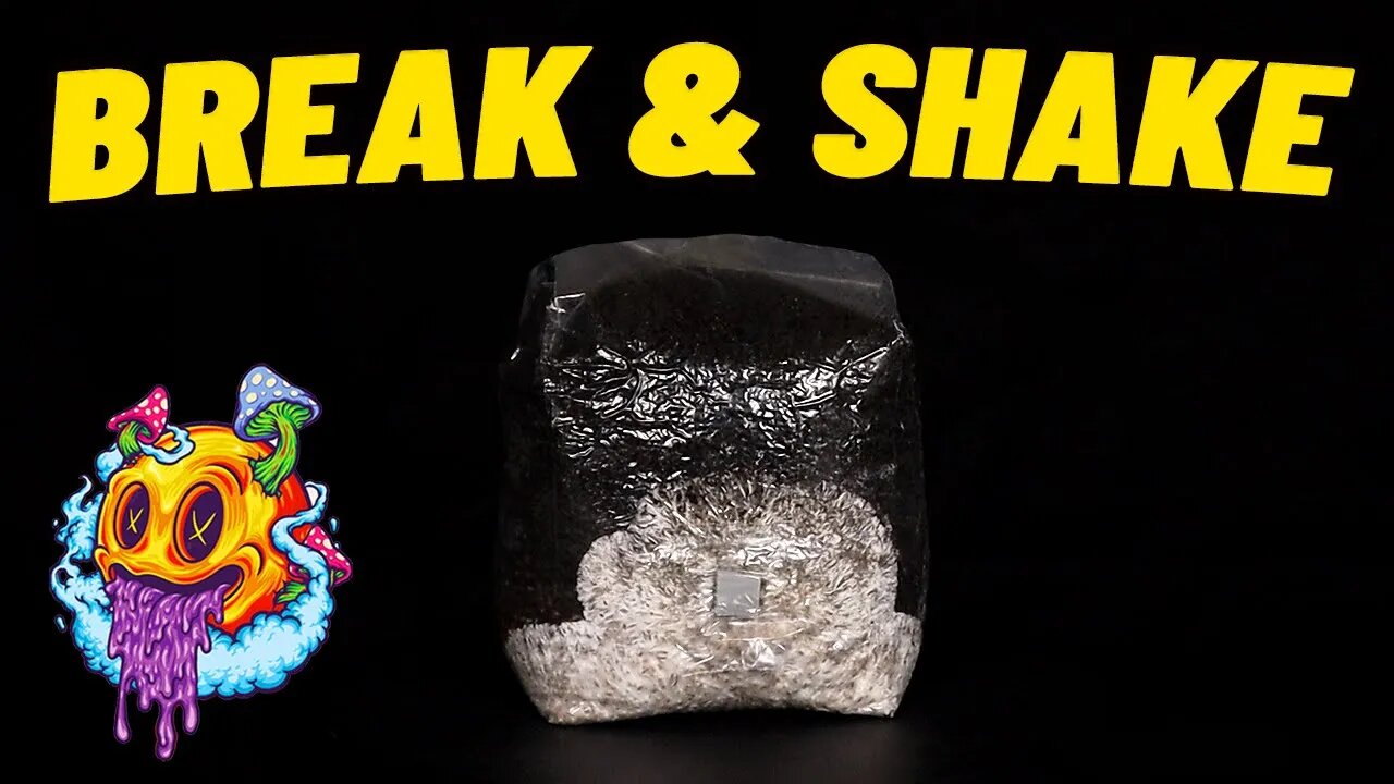 All In One Mushroom Grow Bag "Break & Shake" - S2 EP3