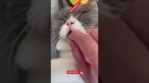 #drivingfails #shorts