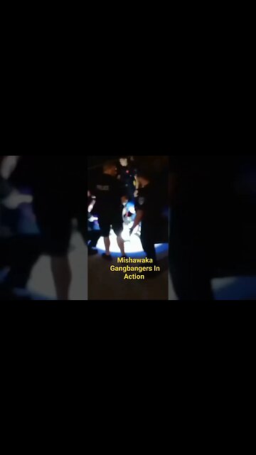 Multiple Mishawaka Police Officer's Holding A Subject Down On The Ground