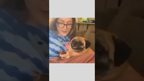 Nail cutting that sound🐶🐾😱😂😂🤣