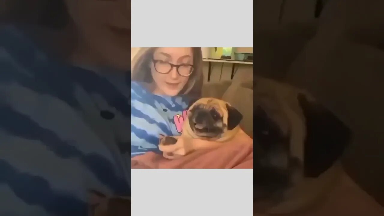 Nail cutting that sound🐶🐾😱😂😂🤣