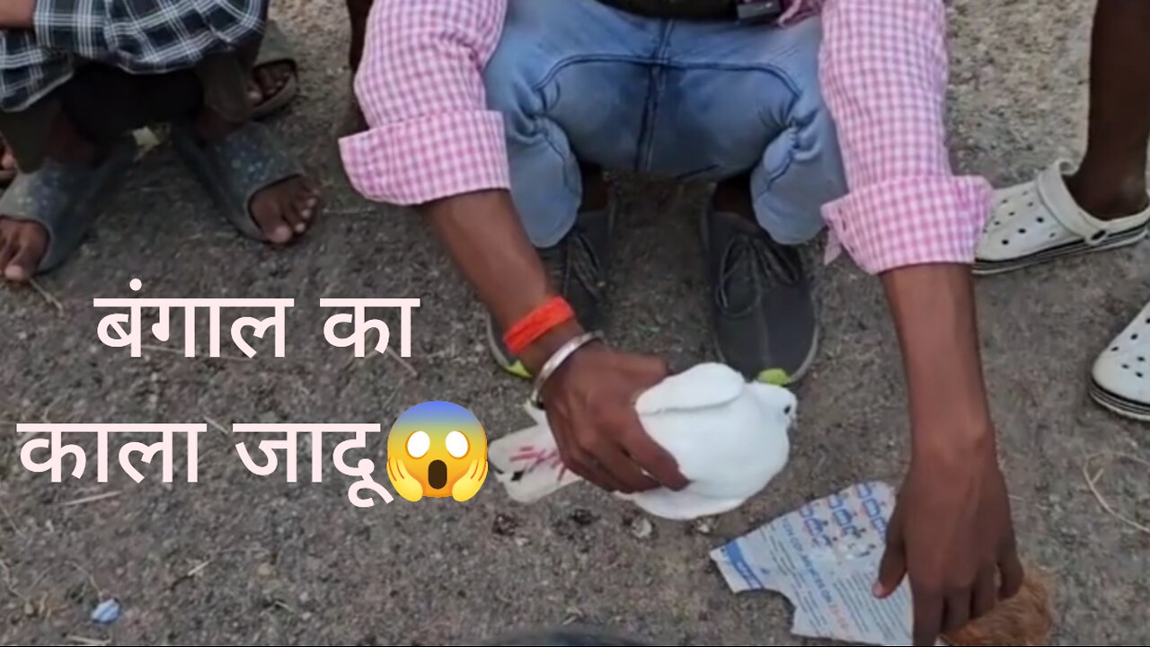 कबूतर को बना दिया कुत्ता 😱 बंगाल का काला जादू देखिए 🤔#comedy #funny #magic #feed #trending