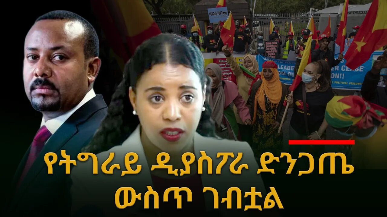 የትግራይ ዲያስፖራ ድንጋጤ ውስጥ ገብቷል #ethiopian_breaking_news #Ethiopia_news #TPLF #Abiy_ahemed