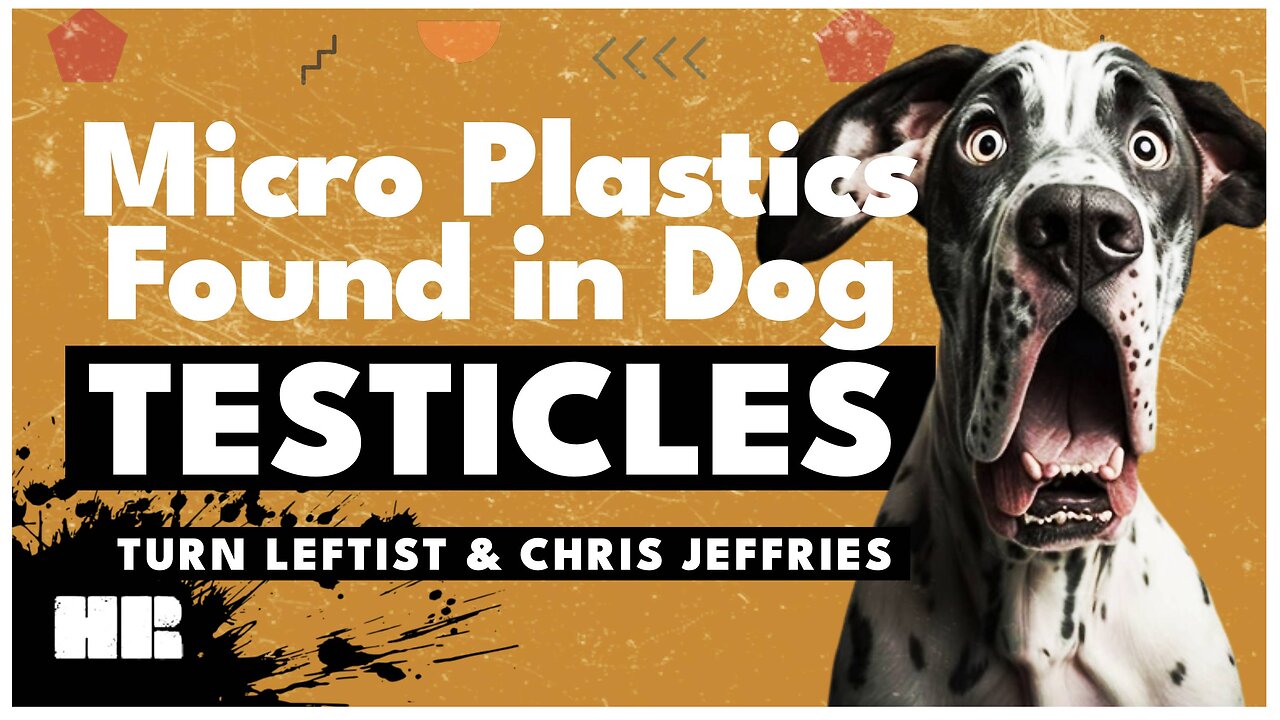 Study: Microplastics Found in the Testicles of Every Human and Dog Participant