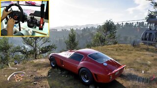 FERRARI 250 GTO - FORZA HORIZON 5 Steering Wheel + Shifter G29