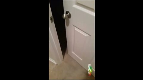 door opens by somthing