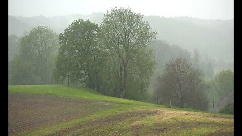 Relaxing to the sound of rain and thunder!Reduce Stress