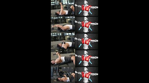 CHEST WORKOUT