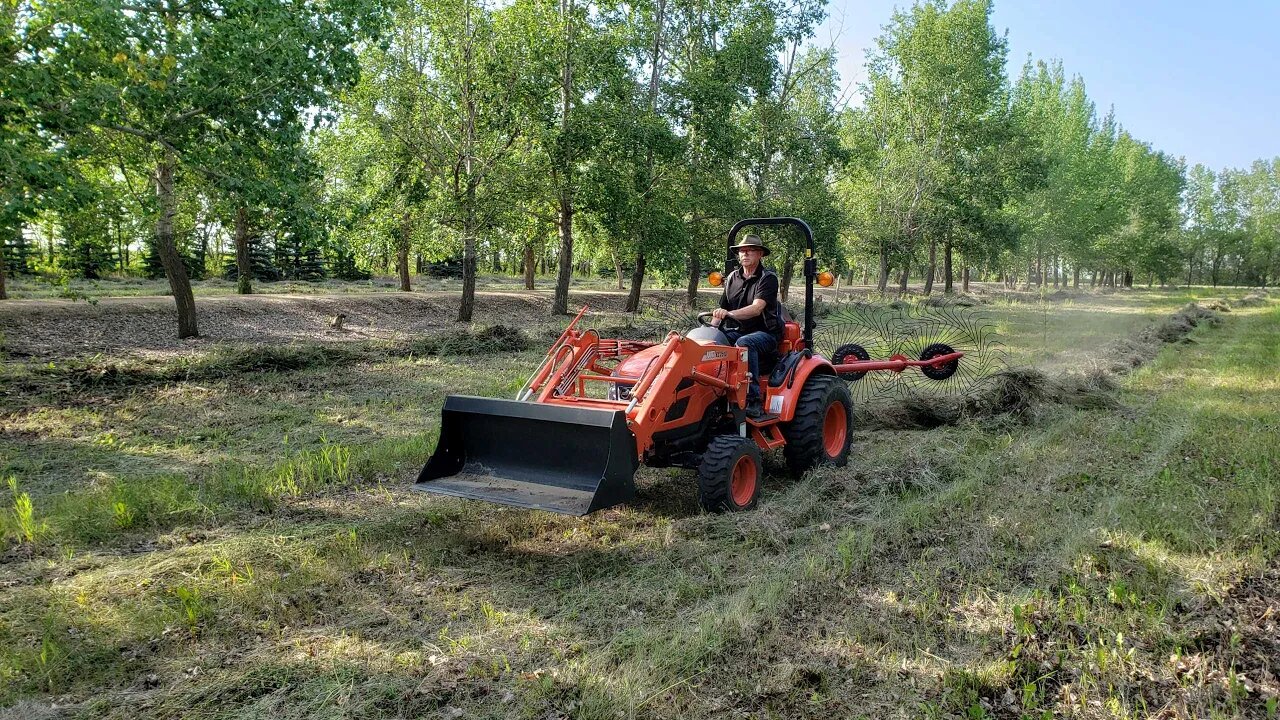 4 Wheel Hay rake from The Tractor Company